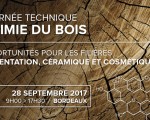 Journée technique Chimie du bois ⎜ Programme