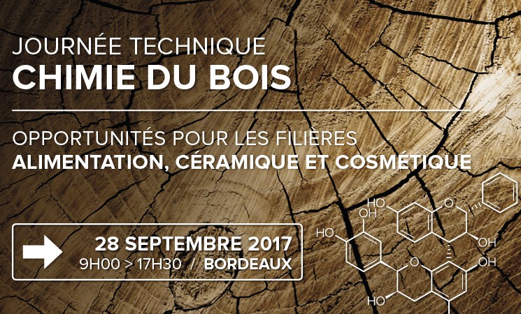 Journée technique Chimie du bois