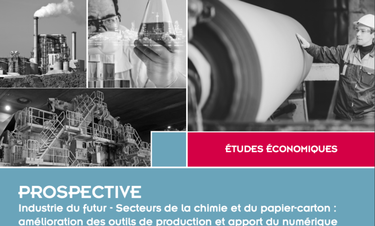 Industrie du futur - Secteurs de la chimie et du papier-carton : amélioration des outils de production et apport du numérique