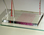 Webinaire ACD Innovation - Science et technologie microfluidique : atouts et applications