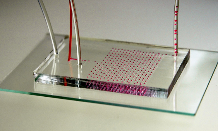 Webinaire ACD Innovation - Science et technologie microfluidique : atouts et applications
