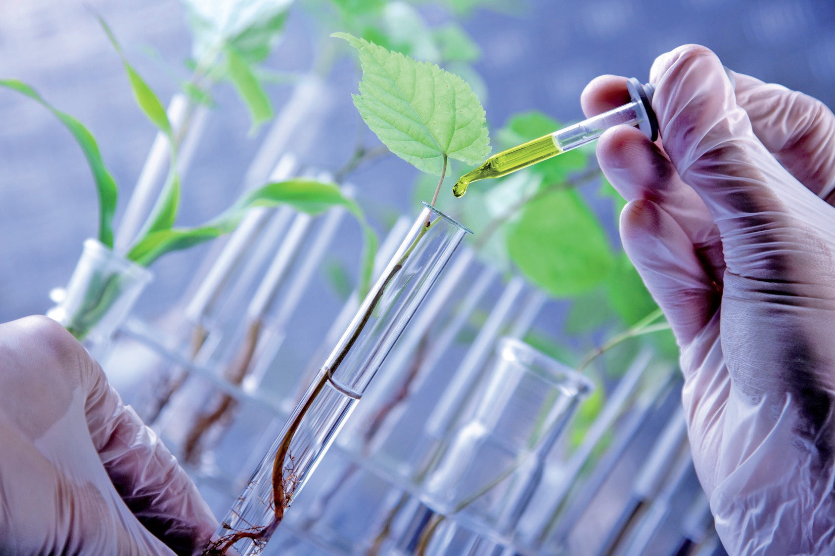 Exposition Chimie Biosourcée, Chimie de Demain du 5 avril au 6 juillet